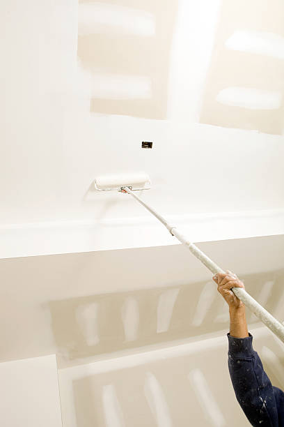 Best Forensic Mold Investigation  in Marysville, KS